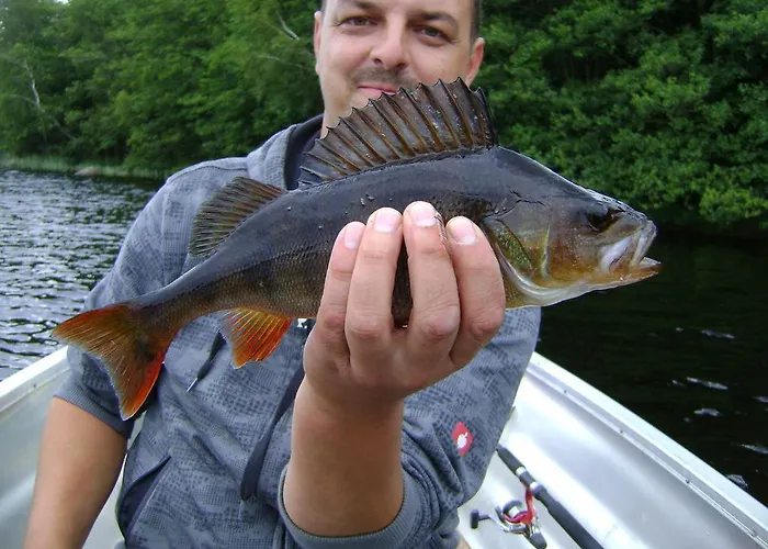 Wismens Natur & Fiske