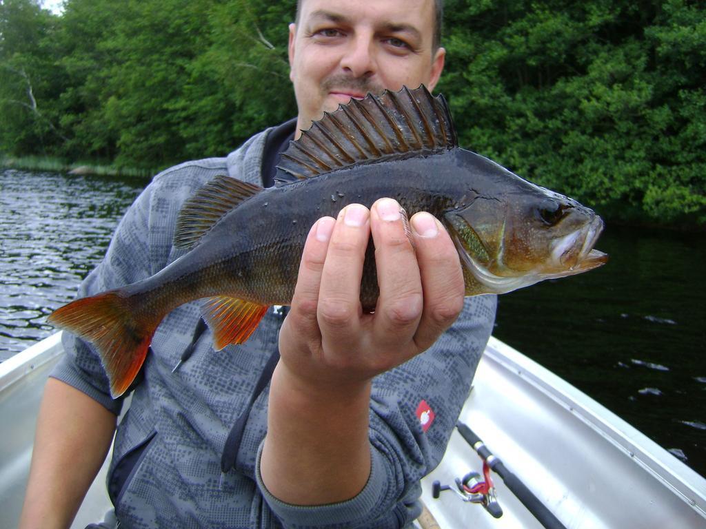 Wismens Natur & Fiske Chalet *