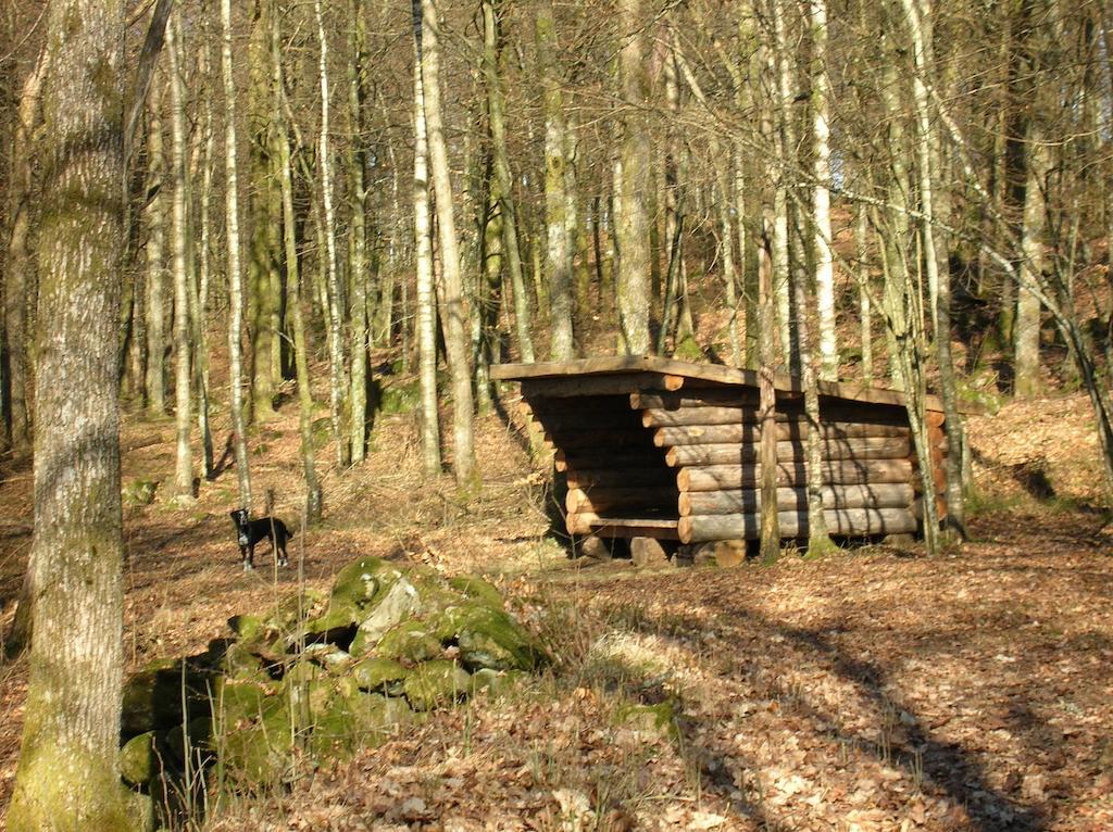 Chalet Wismens Natur & Fiske *