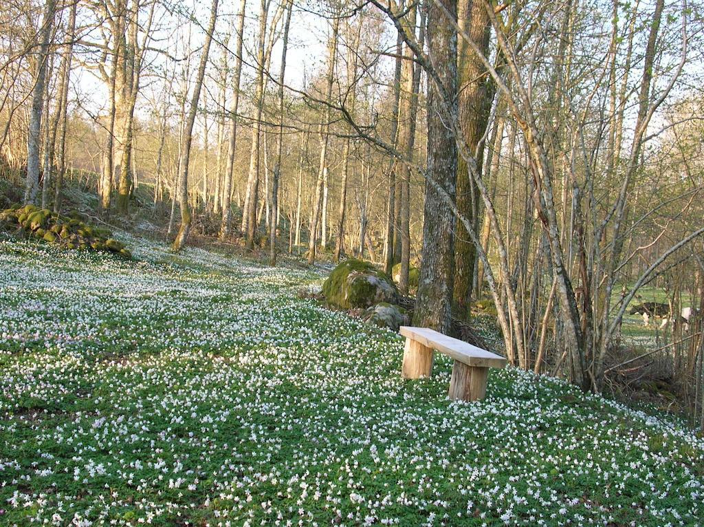 Chalet Wismens Natur & Fiske